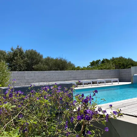 Villa Vue Figari (Corsica)